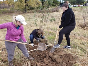 Volunteers planting trees at Prairie Moraine County Park